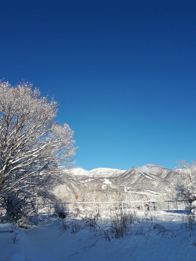 هاكوبا Pension Snow المظهر الخارجي الصورة